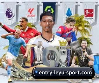 m.entry-leyu-sport.com APP